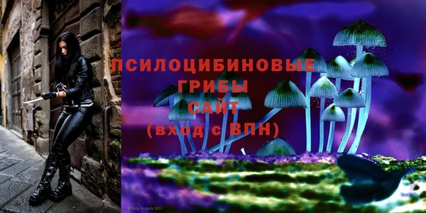 mix Горняк