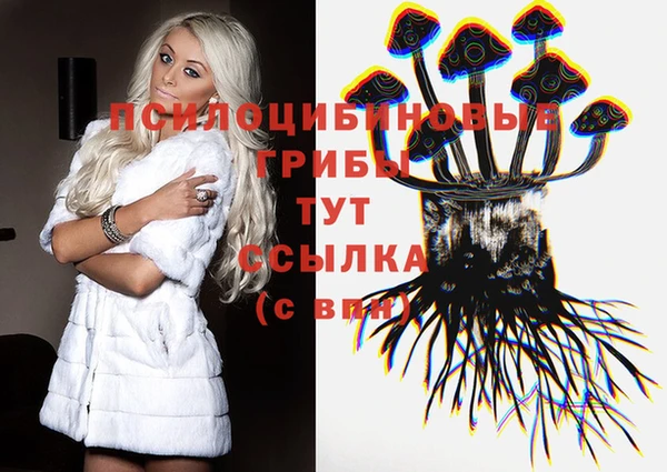крисы Гусиноозёрск